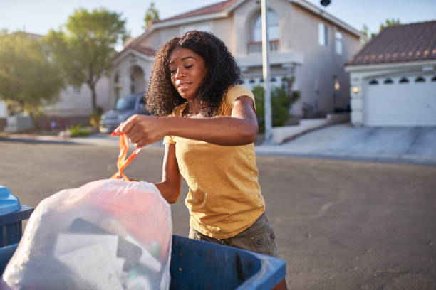 Yard Cleanup Services